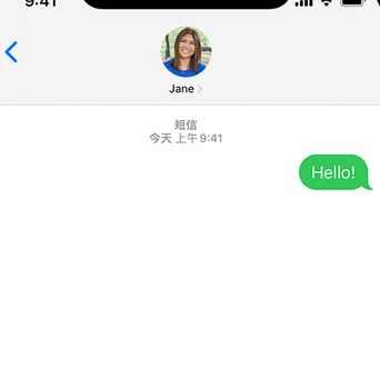 开阳apple维修iPhone上无法正常发送iMessage信息