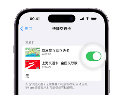 开阳apple维修点分享iPhone上更换Apple Pay快捷交通卡手绘卡面 