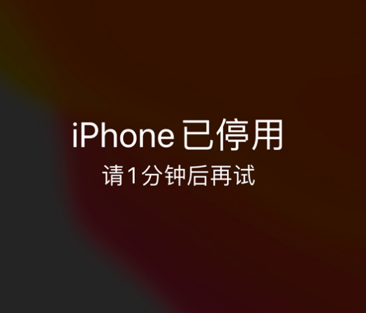 开阳苹果手机维修分享:iPhone 显示“不可用”或“已停用”怎么办？还能保留数据吗？ 