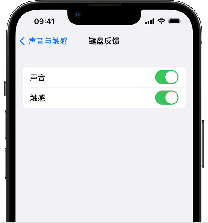 开阳苹果14维修店分享如何在 iPhone 14 机型中使用触感键盘 