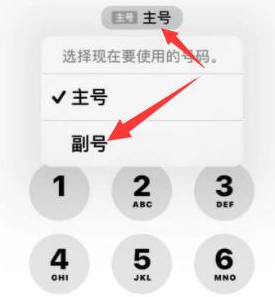 开阳苹果14维修店分享iPhone 14 Pro Max使用副卡打电话的方法 