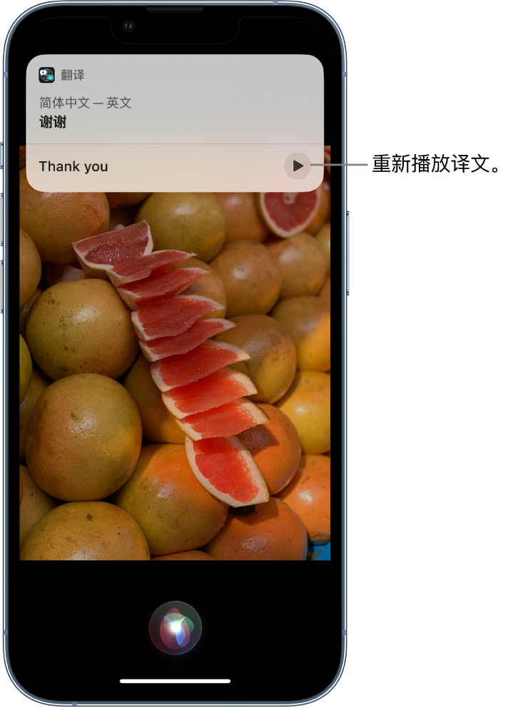 开阳苹果14维修分享 iPhone 14 机型中使用 Siri：了解 Siri 能帮你做什么 