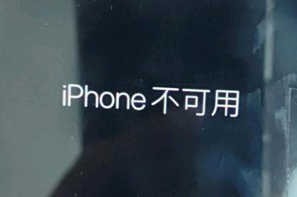 开阳苹果服务网点分享锁屏界面显示“iPhone 不可用”如何解决 