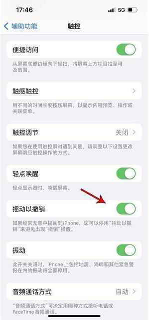 开阳苹果手机维修分享iPhone手机如何设置摇一摇删除文字 