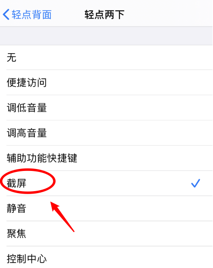 开阳苹果手机维修分享iPhone12如何启用双击截屏 
