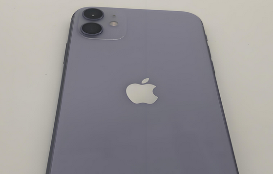 开阳苹果11系统维修分享iPhone11手机系统崩溃无法开机如何解决